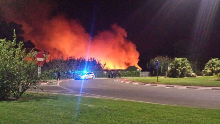 Imágenes de archivo de un incendio en el marjal de Gandia.