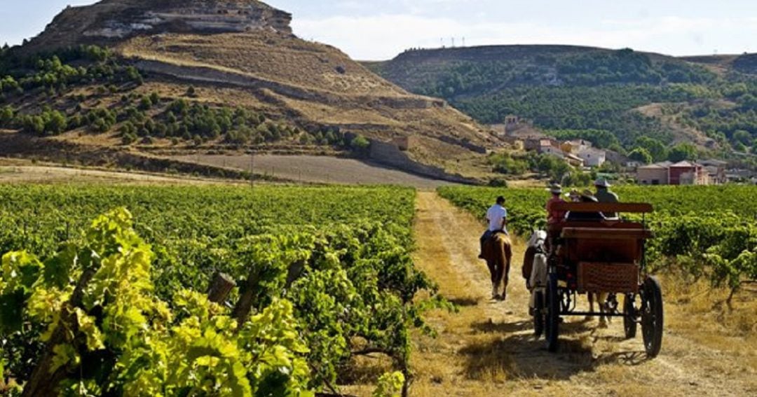 La Ribera es un proyecto integrador, toda una