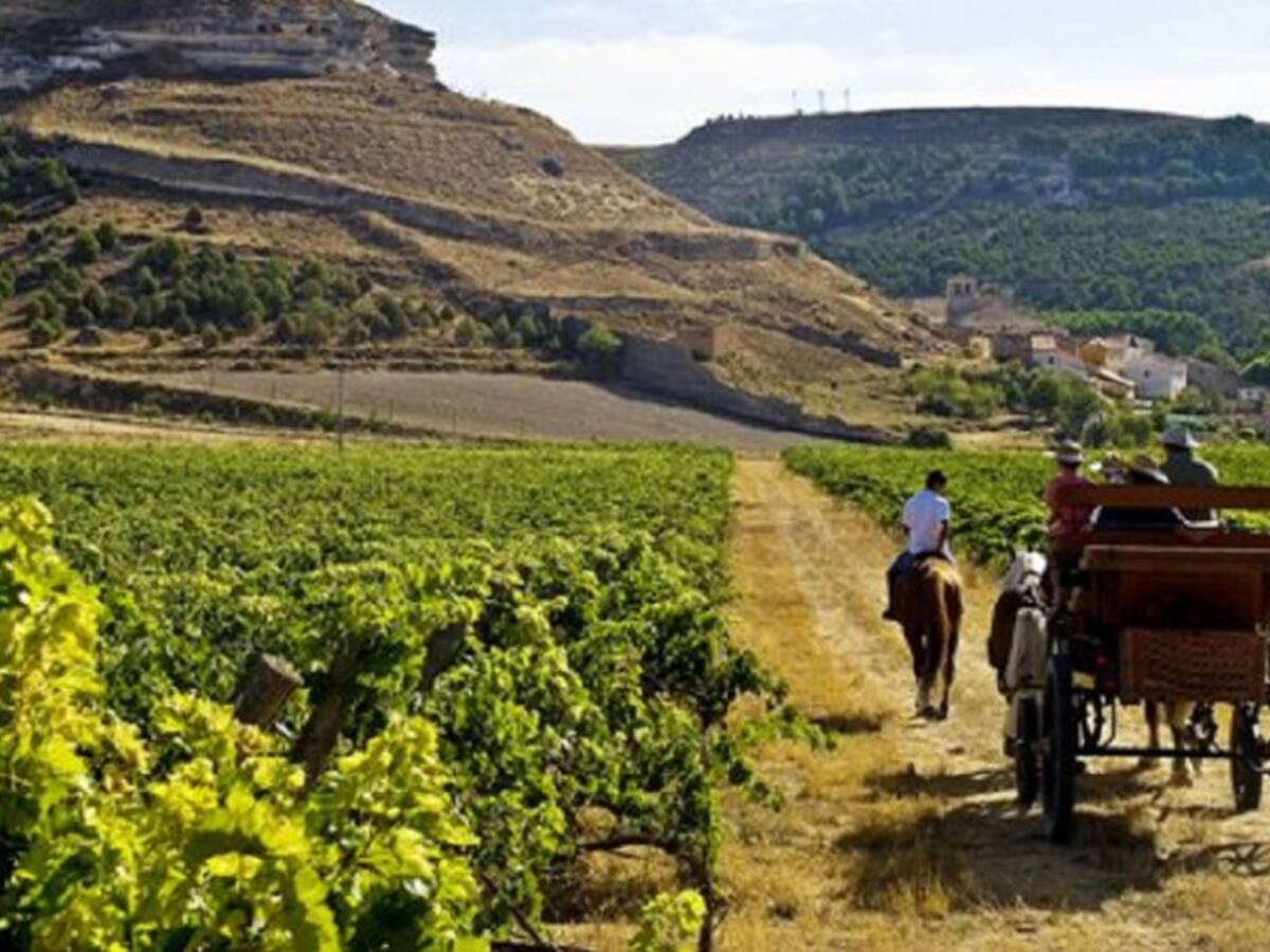 Un territorio que no entiende de límites ni fronteras