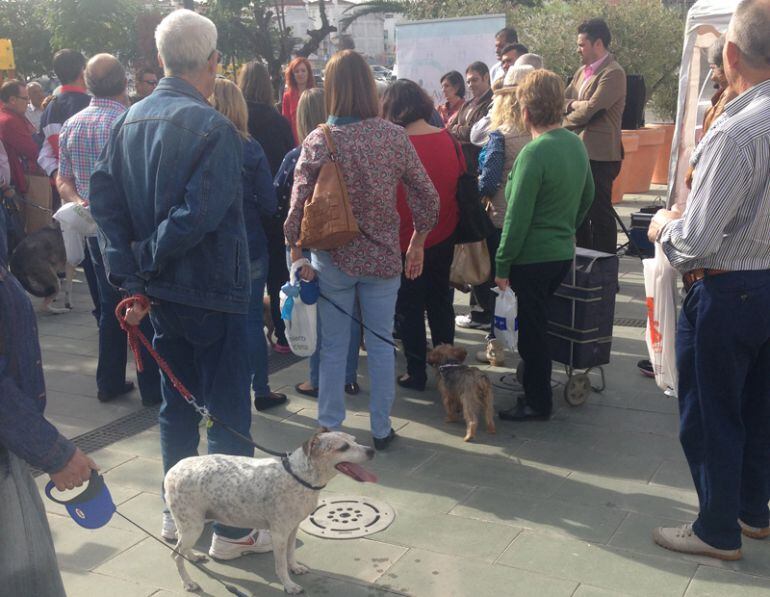 Presentación del DNI para perros en Maracena.