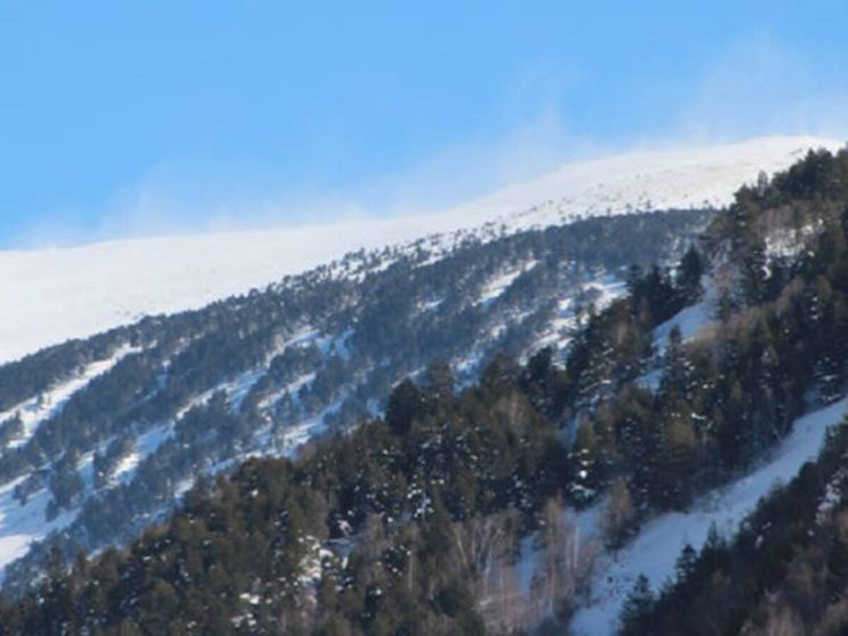 Protecció Civil alerta de l’arribada d’un temporal de vent previst per aquesta nit