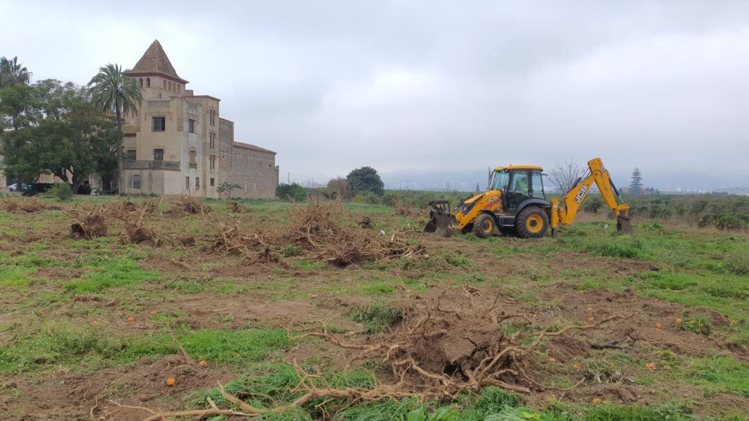 Trabajos en las parcelas de la Torre dels Pares en Gandia