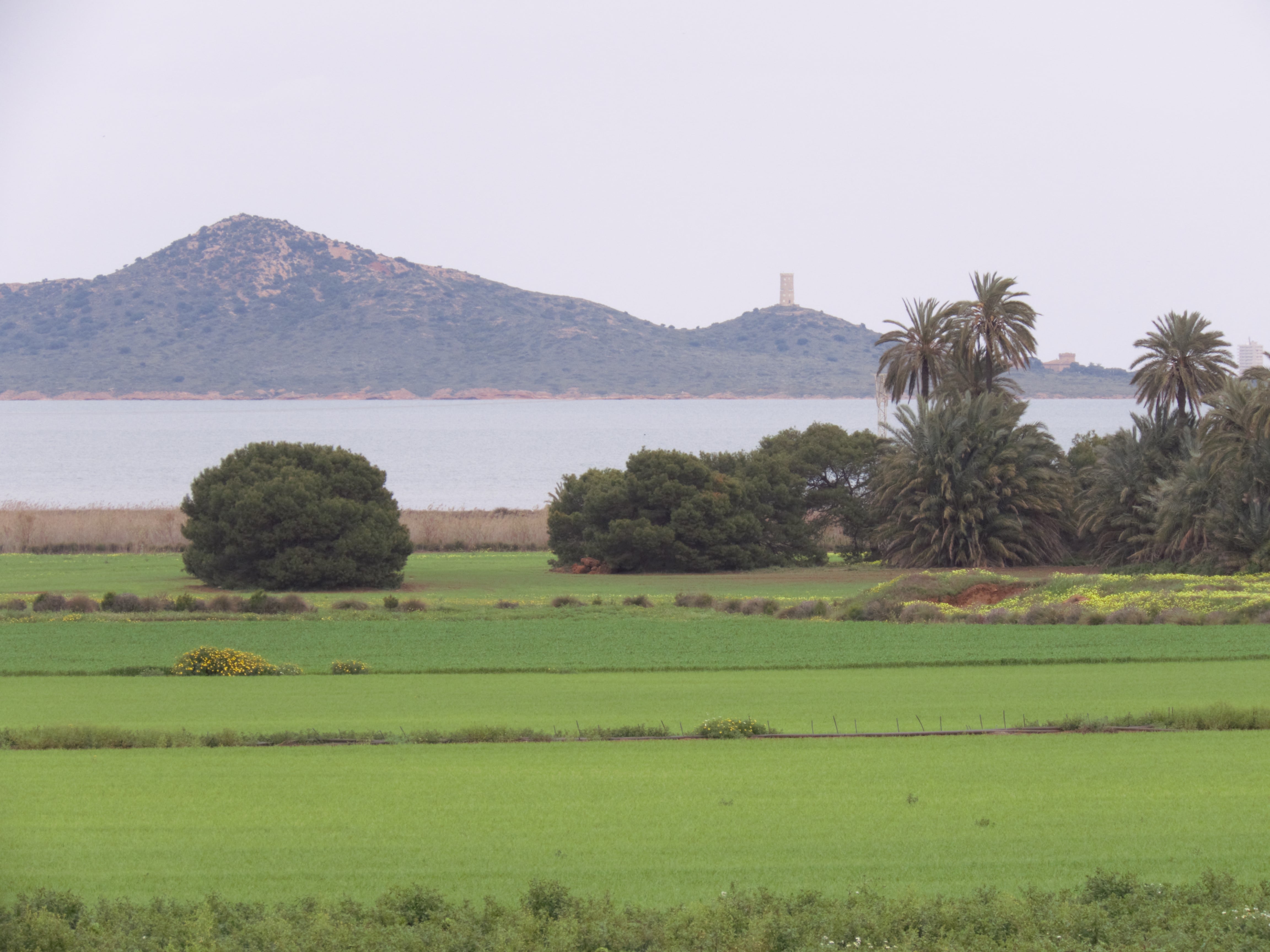 Zona aledaña al Mar Menor