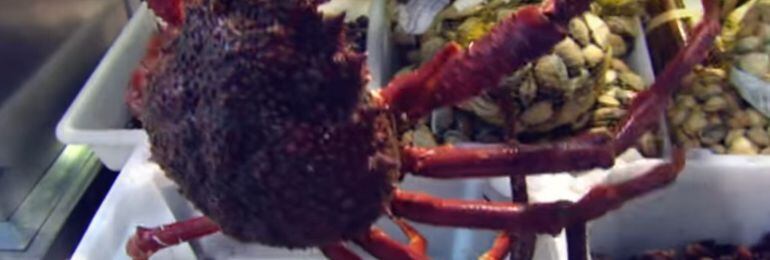 Fotograma de la serie