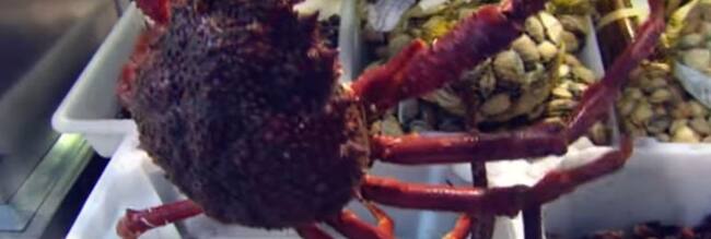 Fotograma de la serie