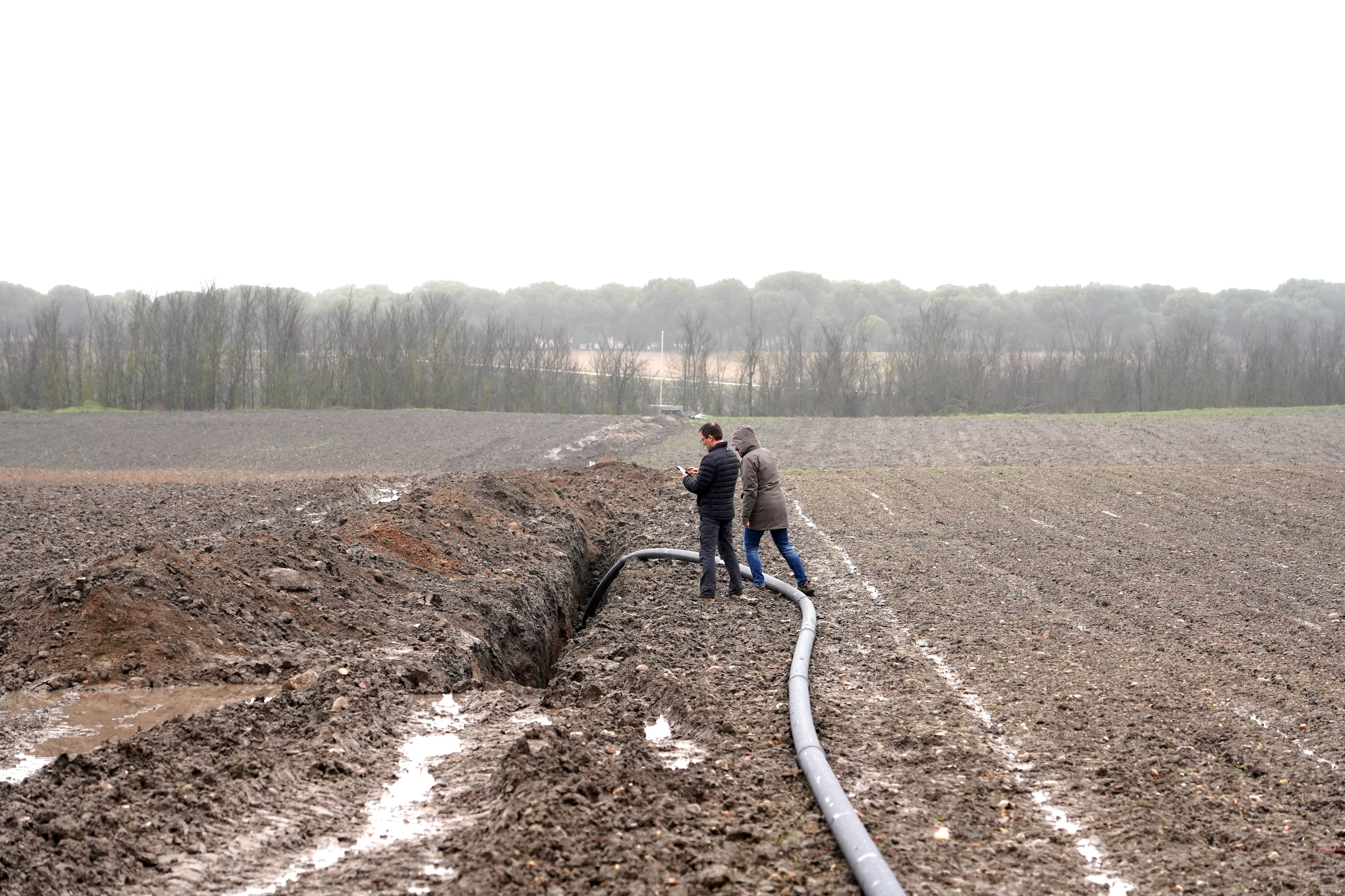 Zanja que ha destruido 230 metros del yacimiento de Pintia