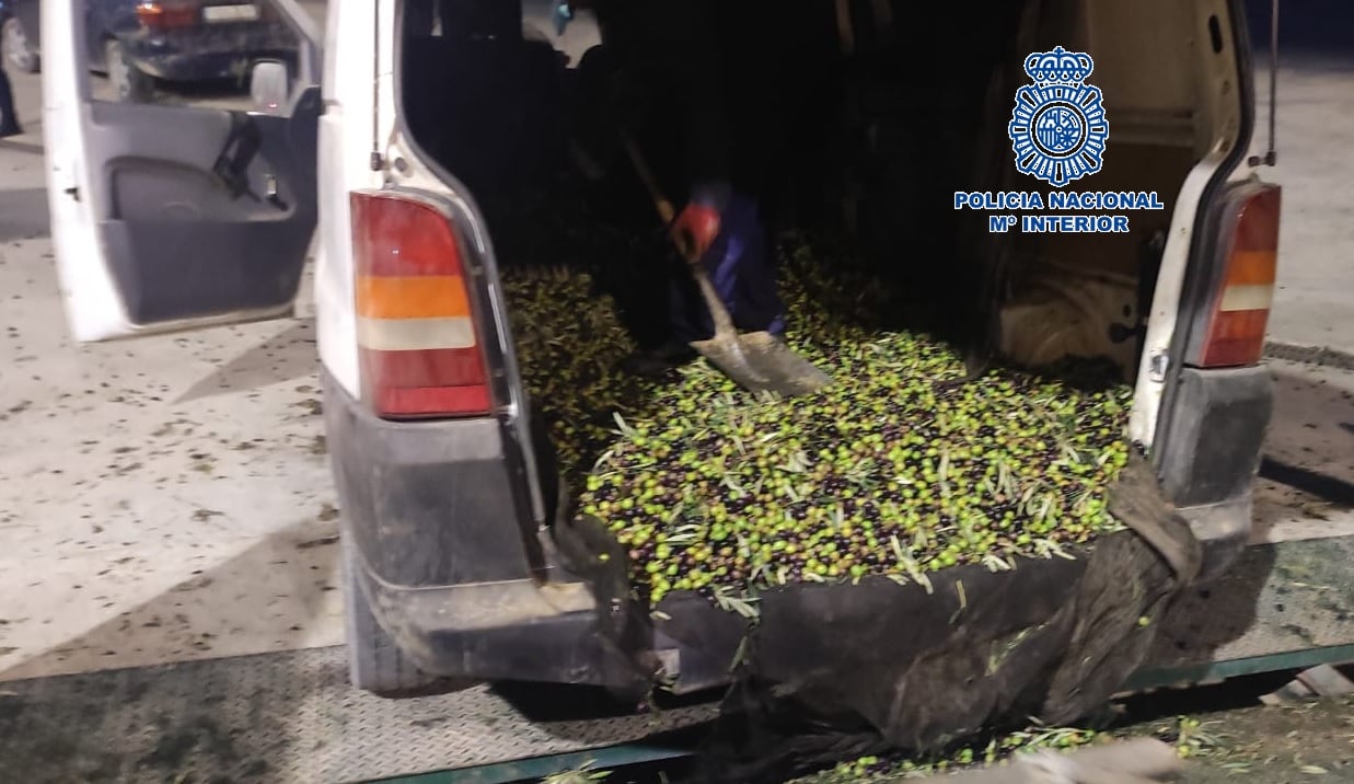 Parte del material recuperado por la policía