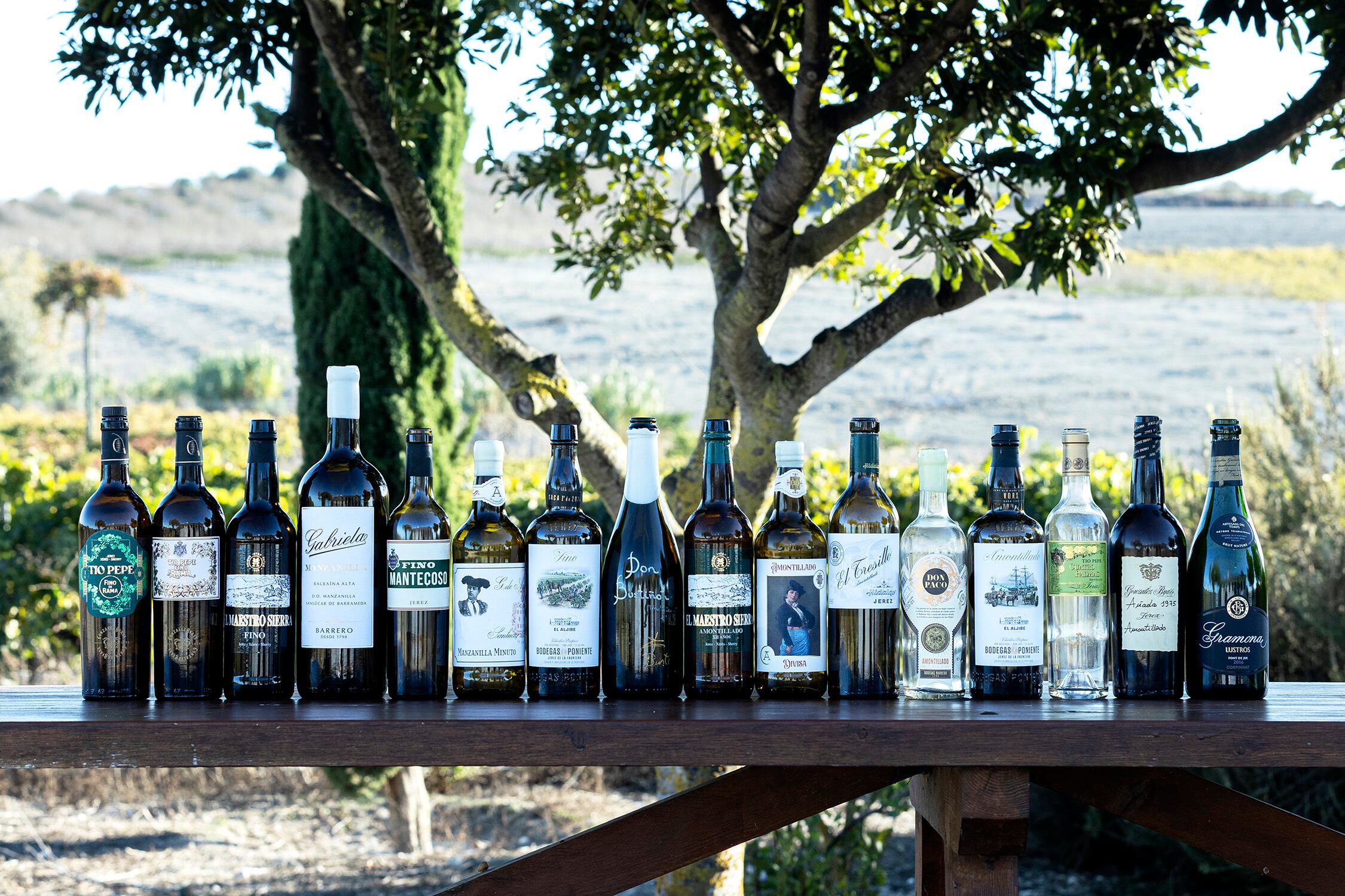 Vinos degustados en Amontillarte