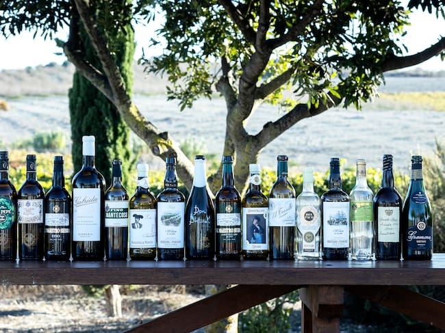 Vinos degustados en Amontillarte