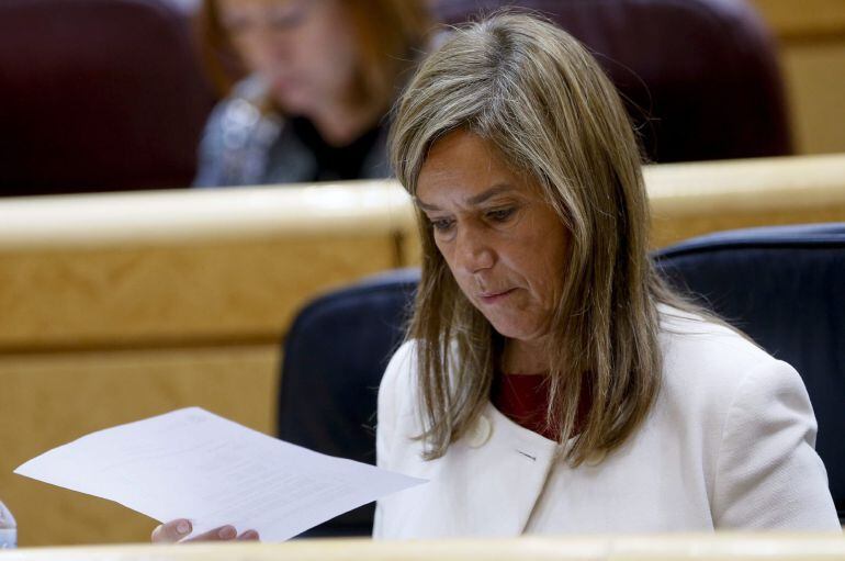 a ministra de Sanidad, Ana Mato, durante una sesión de control al Gobierno celebrada en el pleno del Senado