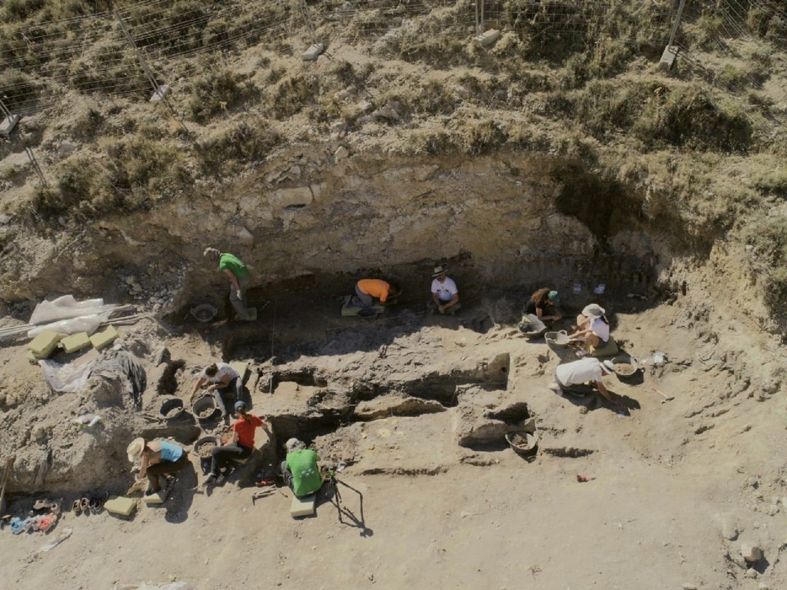 Yacimiento paleontológico &#039;Baza-1&#039;