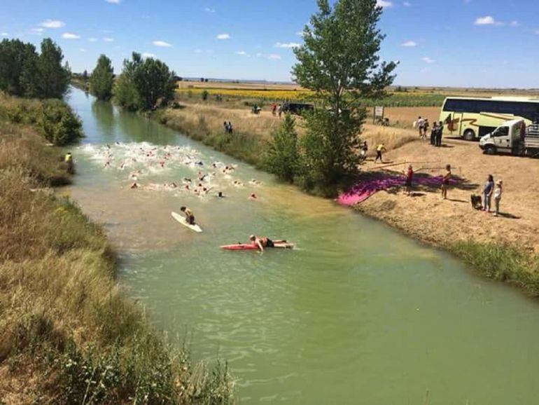 Casi 500 participantes en las travesías a nado de la Diputación de Palencia