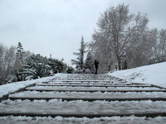 Nevada en Madrid, 2009