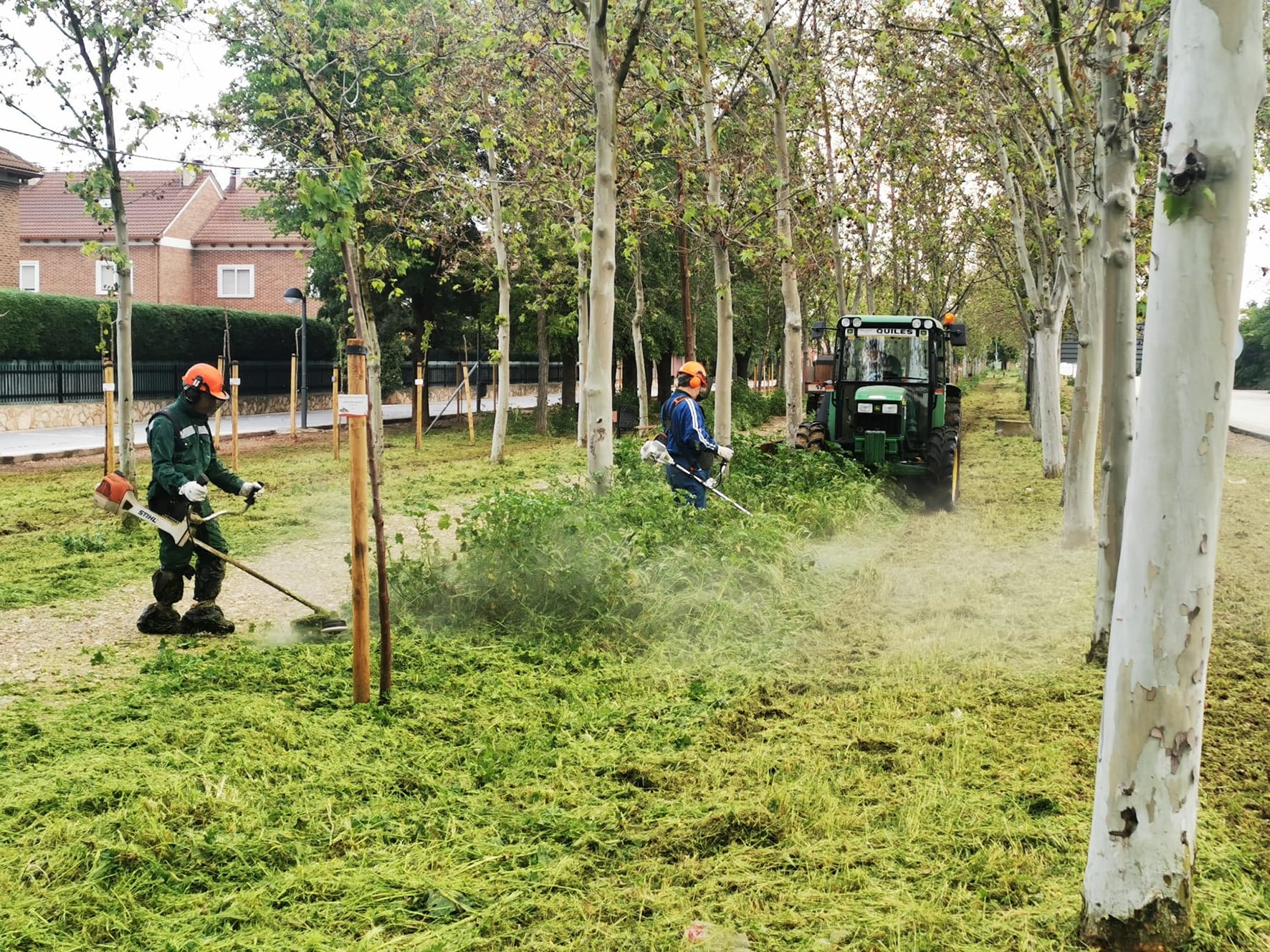 Trabajos de desbroce y jardinería en Azuqueca de Henares