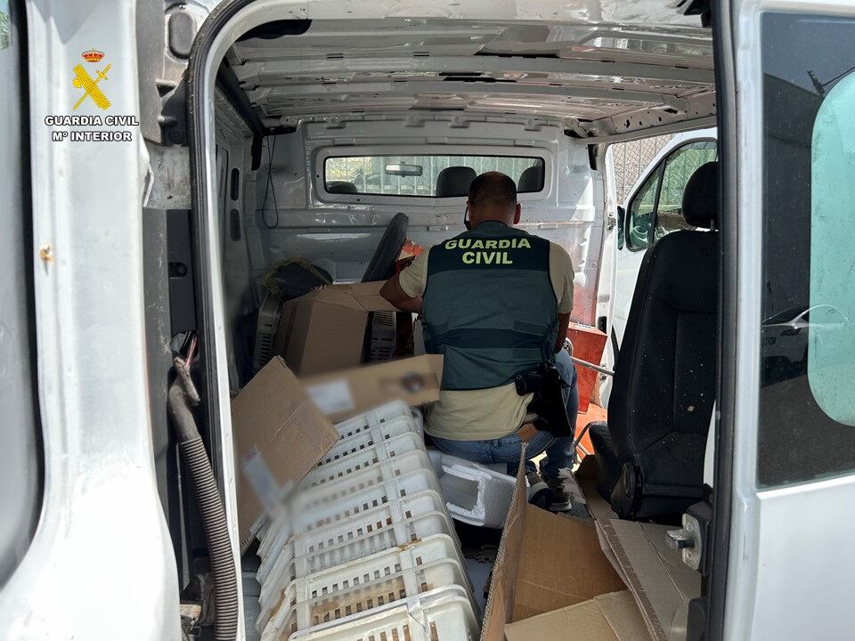 Un agente de la Guardia Civil en una de las furgonetas intervenidas tras la detención del presunto autor de estafas en furgonetas camperizadas.