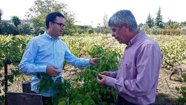 Paco Morales y Francisco Robles en la viña