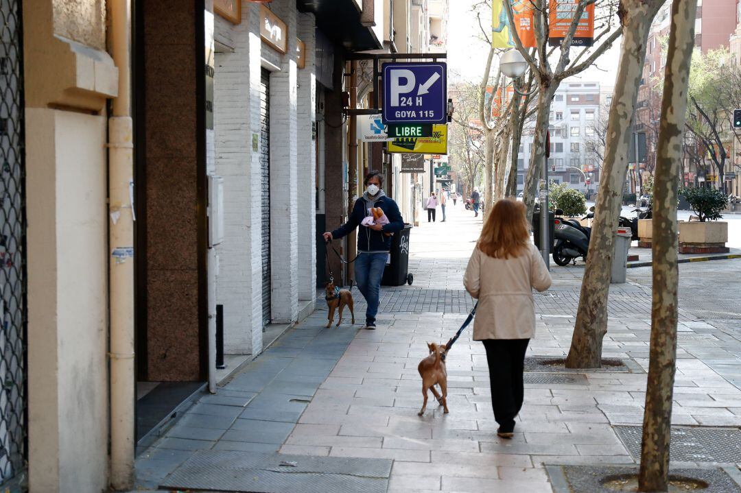 Los paseos de los perros deberán ser cortos 