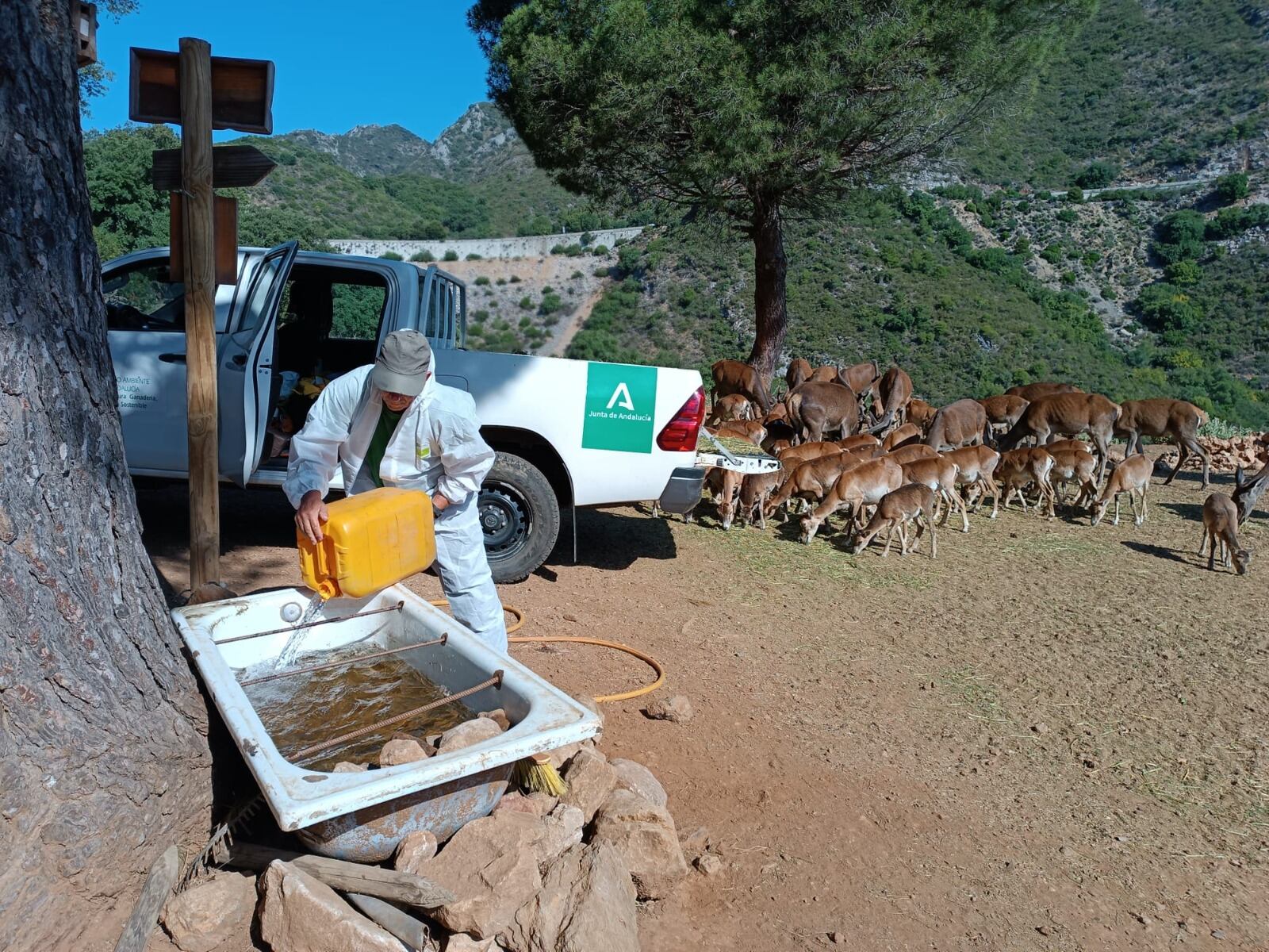 Eco reserva de Ojén