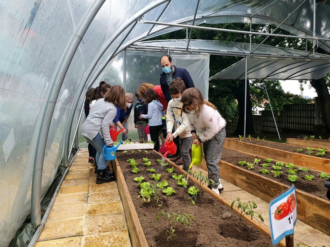 Huerto ecológico en el colegio Pintor Escudero Espronceda de Torrelavega 