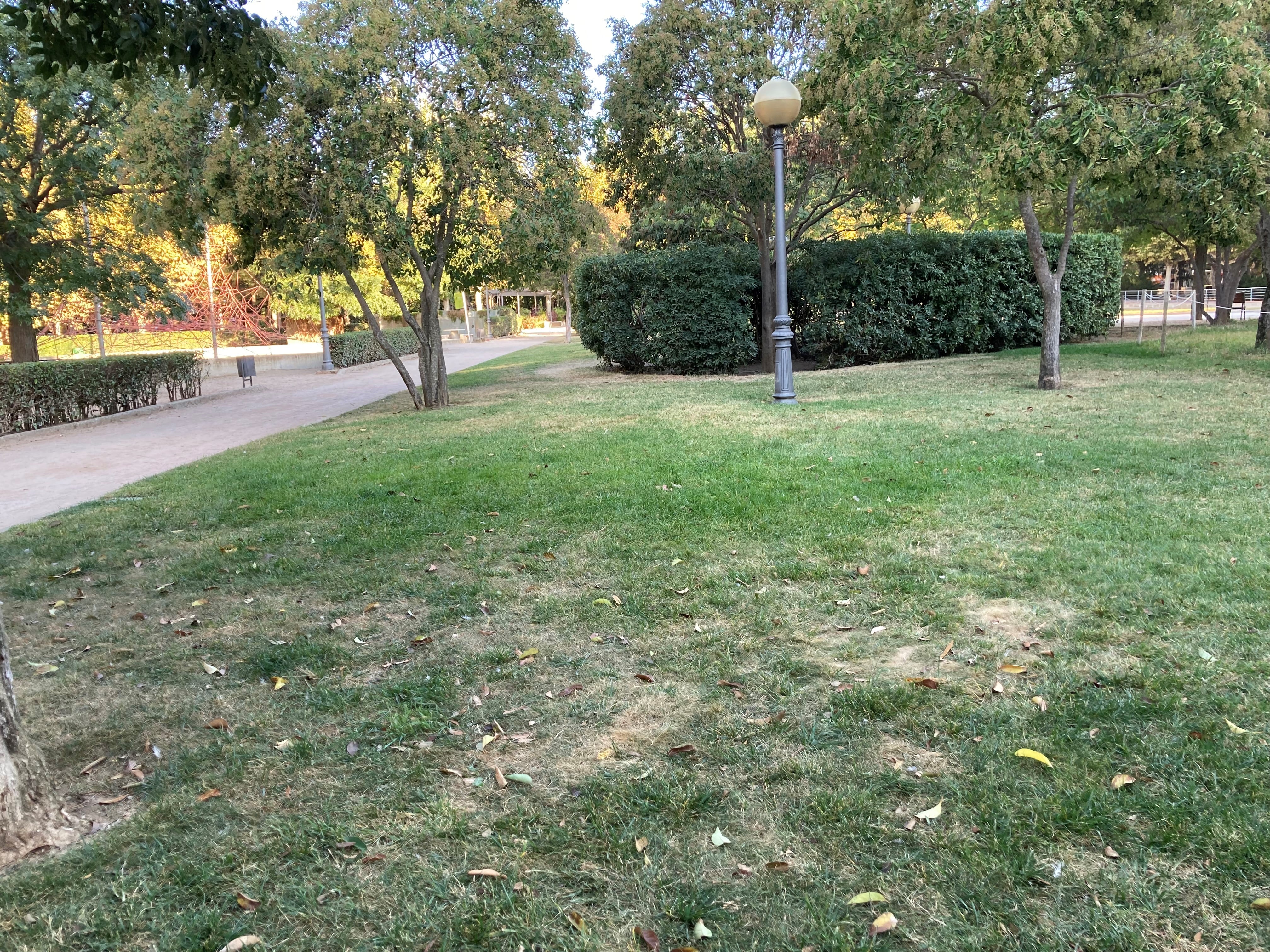 Las zonas verdes de la ciudad notan la falta de agua