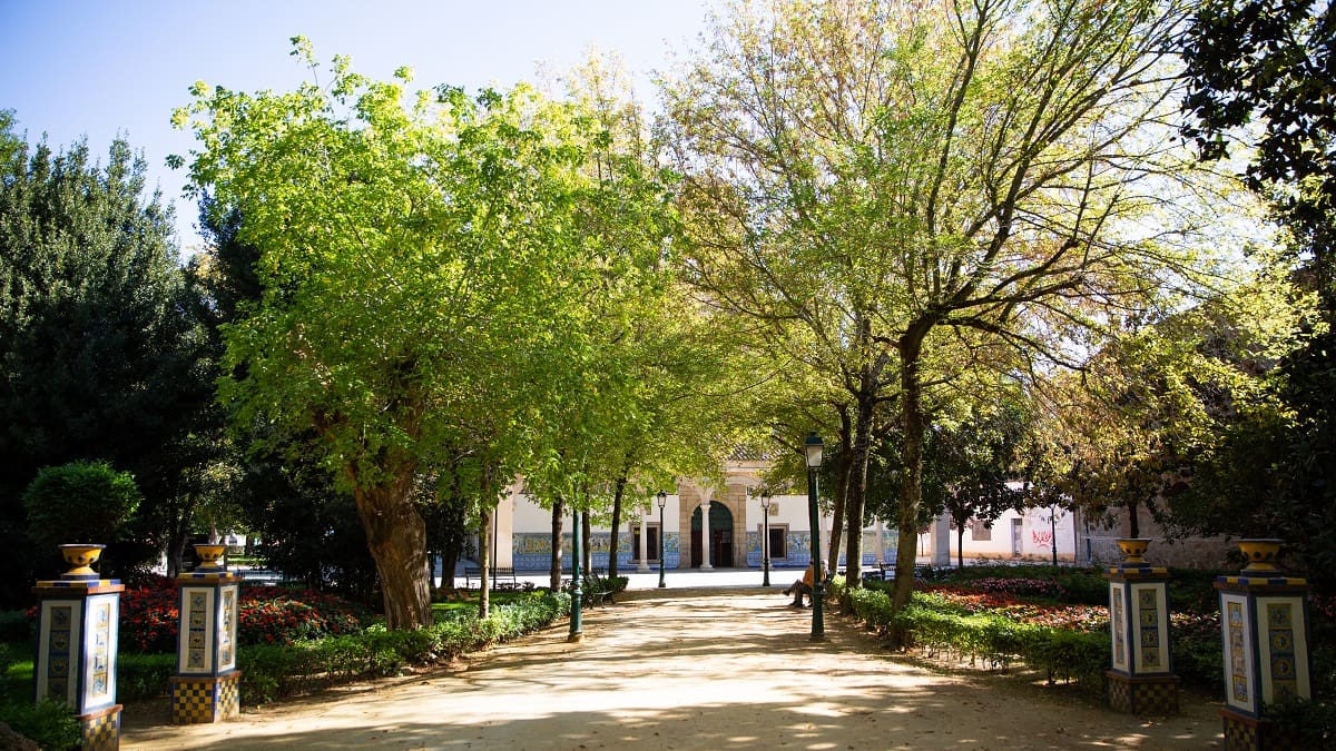 El Ayuntamiento de Talavera decreta el cierre de parques ante las fuertes rachas de viento