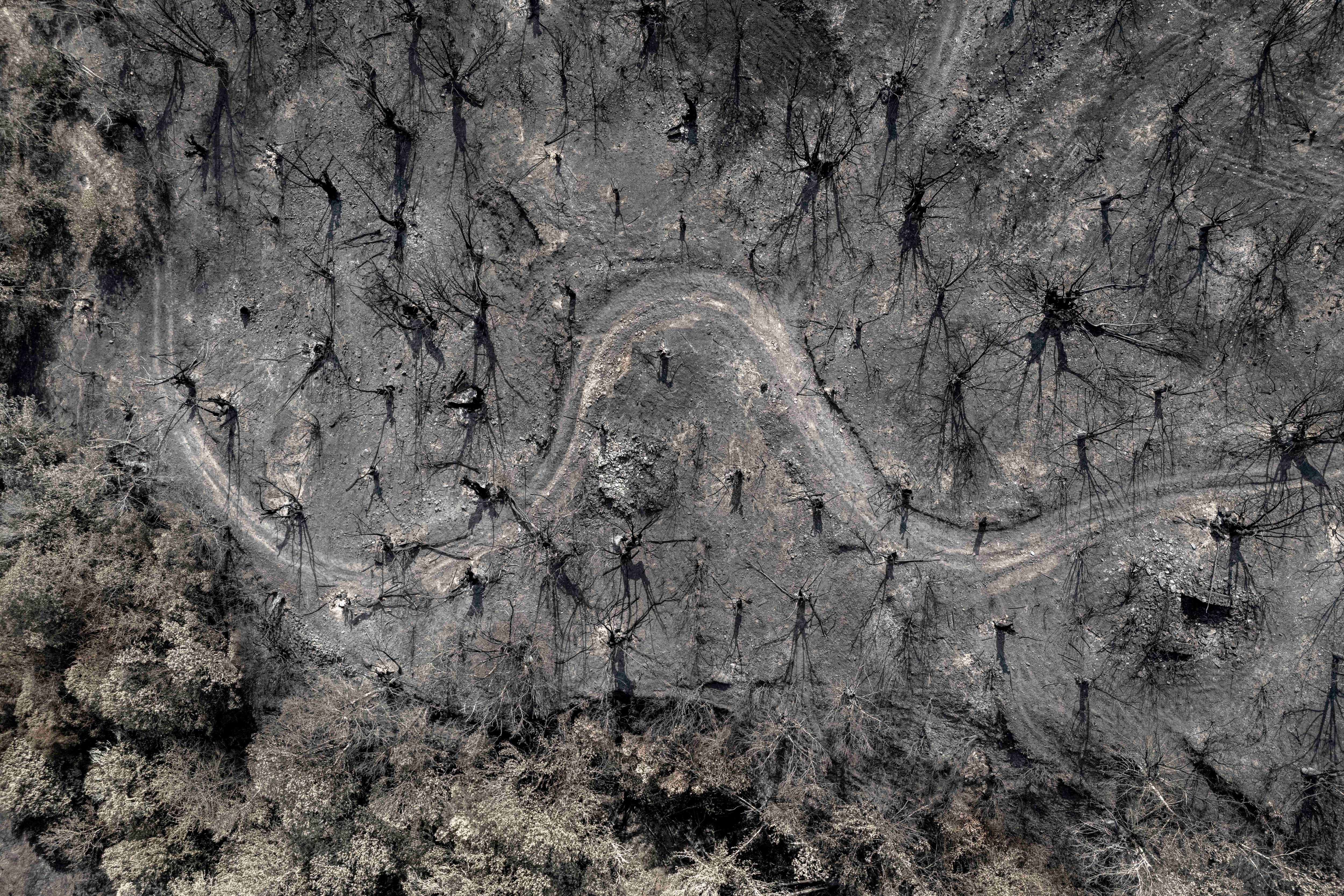 VILAMARTÍN DE VALDEORRAS (OURENSE), 24/08/2025.- Superficie calcinada por el peor incendio de la historia de Galicia, el de Larouco (Ourense), estabilizado tras arrasar 30.000 hectáreas. EFE/Brais Lorenzo