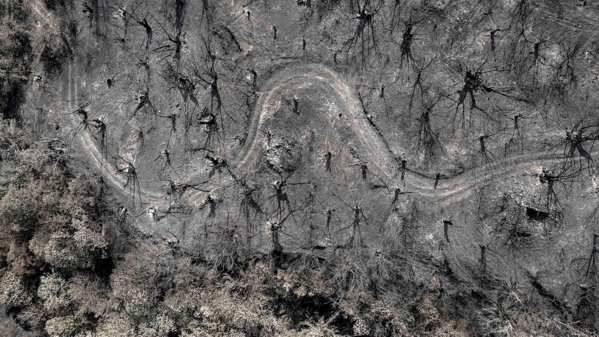 La Xunta tiene sin adjudicar 3 millones de euros en materia de prevención de incendios