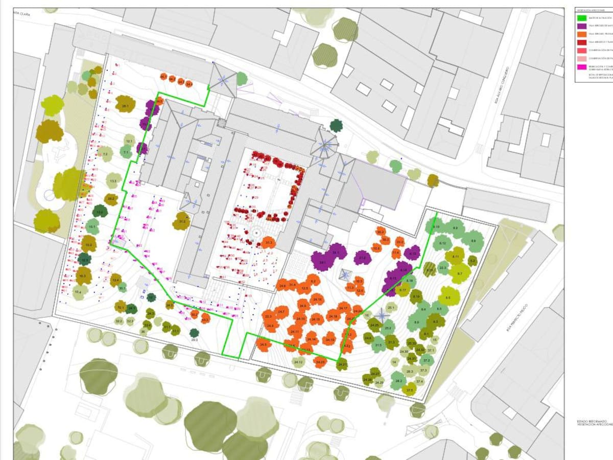 Domínguez y Puentes chocan por la tala de árboles en Santa Clara