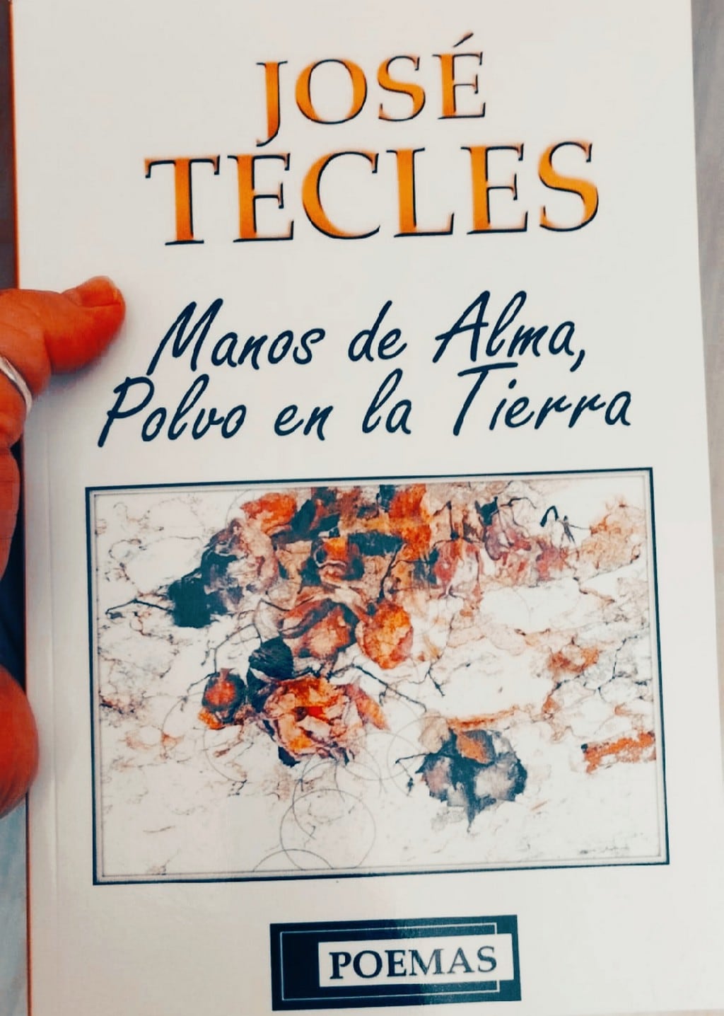 Poemas de José Tecles