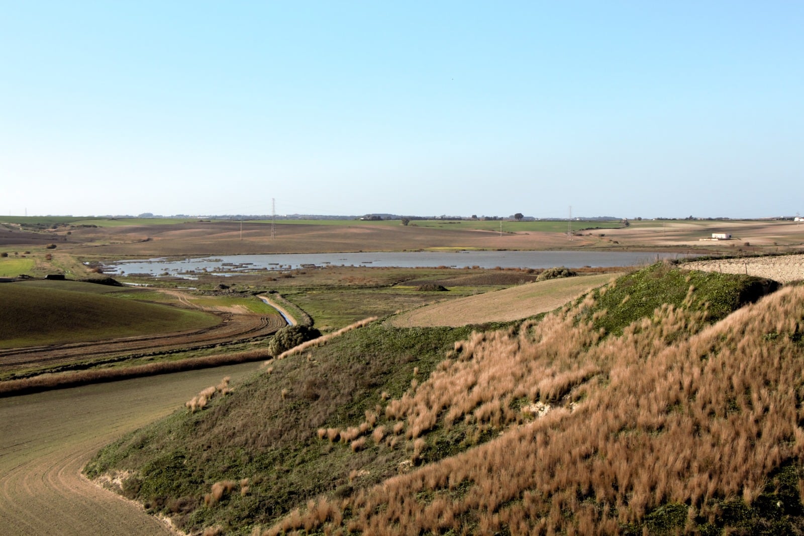 Recorrido por la Carrahola y la laguna de los Tercios en Jerez