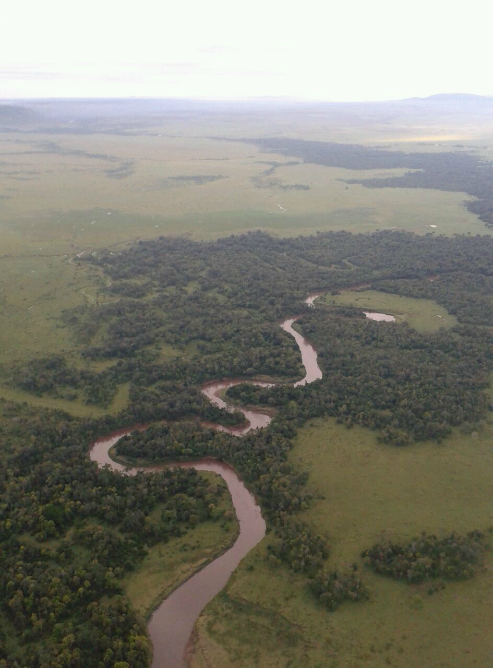 Sobrevuelo del Masai Mara en globo