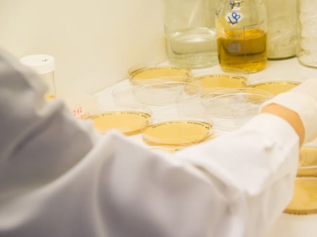 Placas de Petri/Archivo