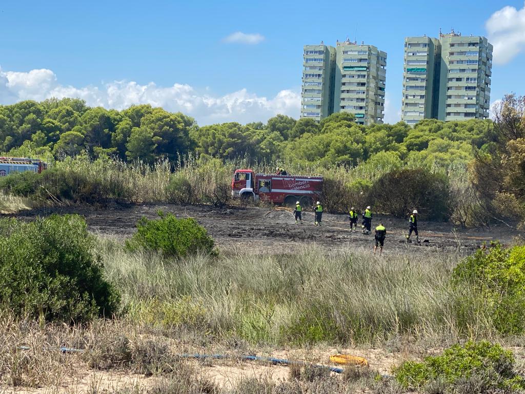 Incendio en el parque natural del Saler