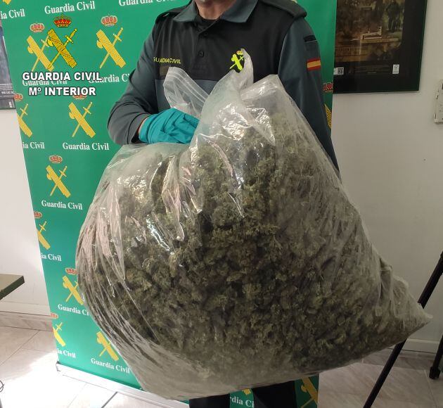 Bolsa con cogollos de marihuana intervenida en Uceda