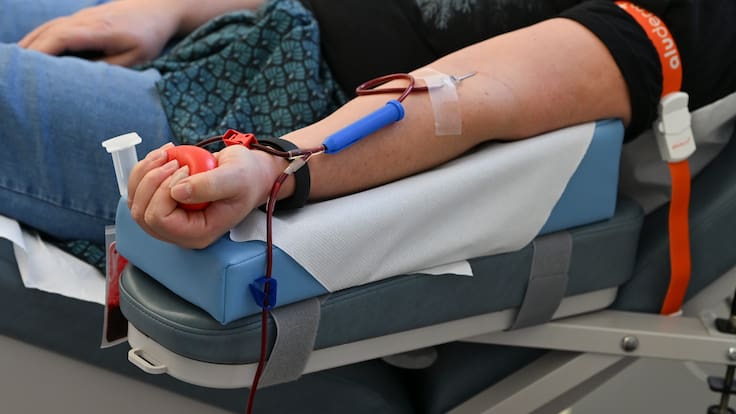 Entradas para el cine o el teatro a cambio de donar sangre: la propuesta de Asamblea7 Islas