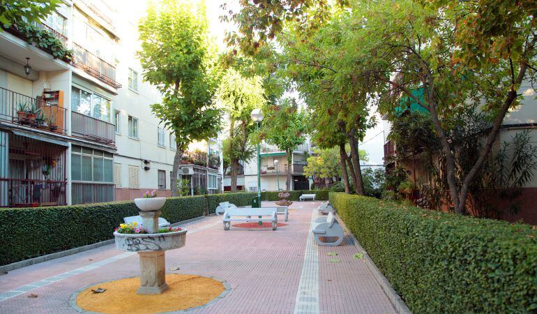 Hasta el 31 de octubre pueden solicitar árboles y arbustos urbanizaciones privadas colindantes con la vía pública, colegios públicos, institutos y entidades de conservación, pero no viviendas particulares