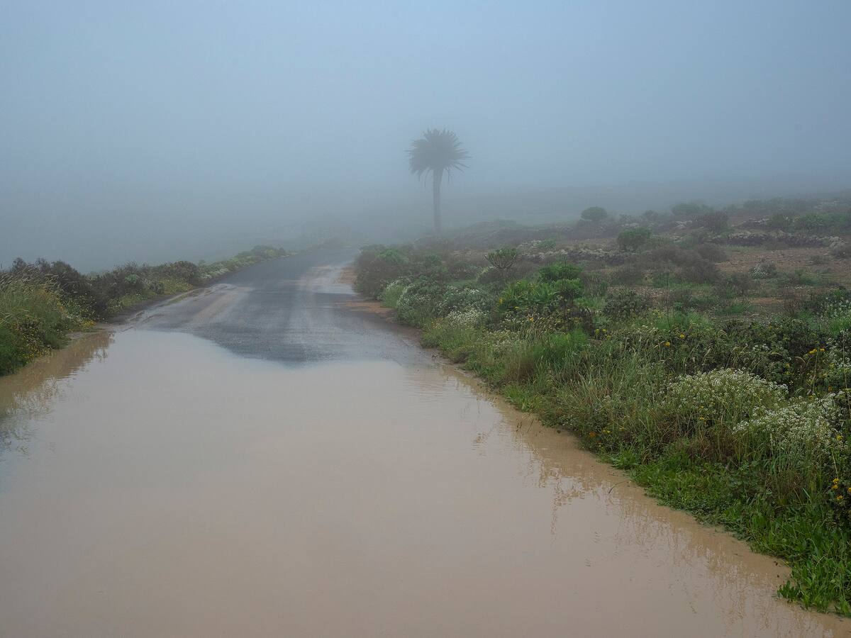 La mirada de Marta Cantero