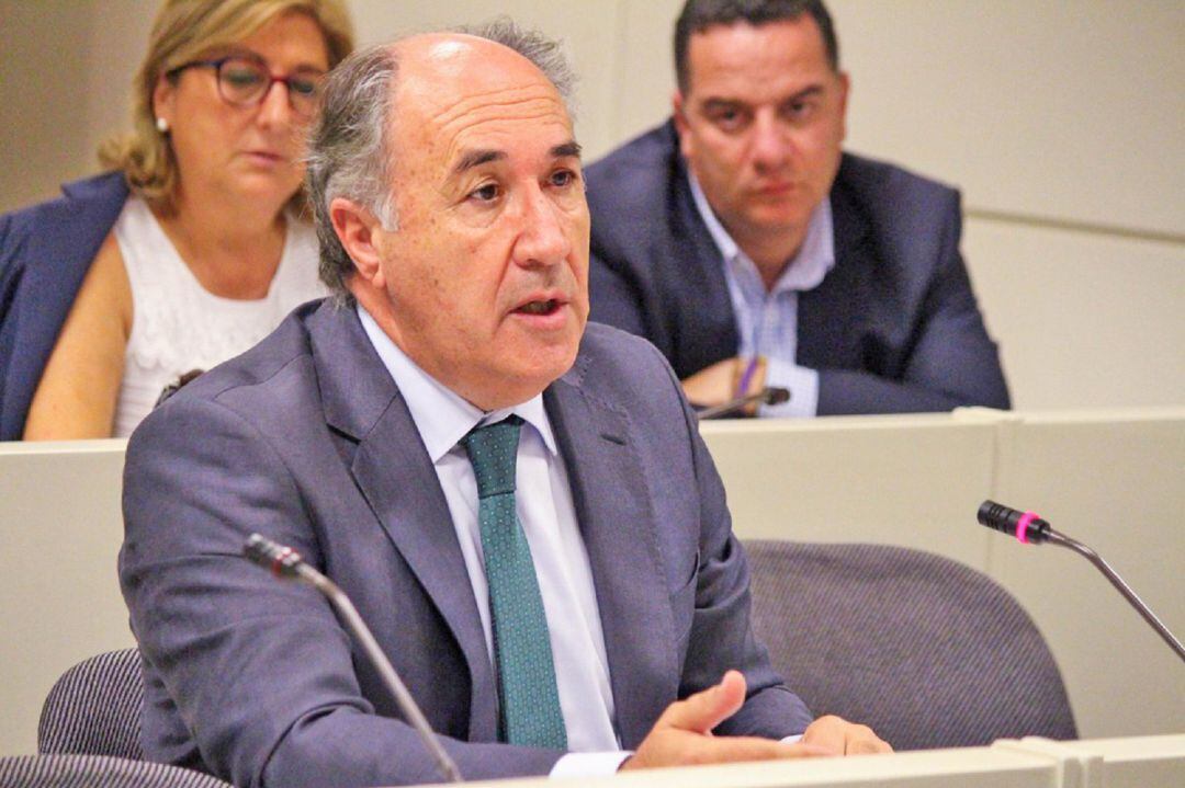 José Ignacio Landaluce, durante su intervención en el Senado.