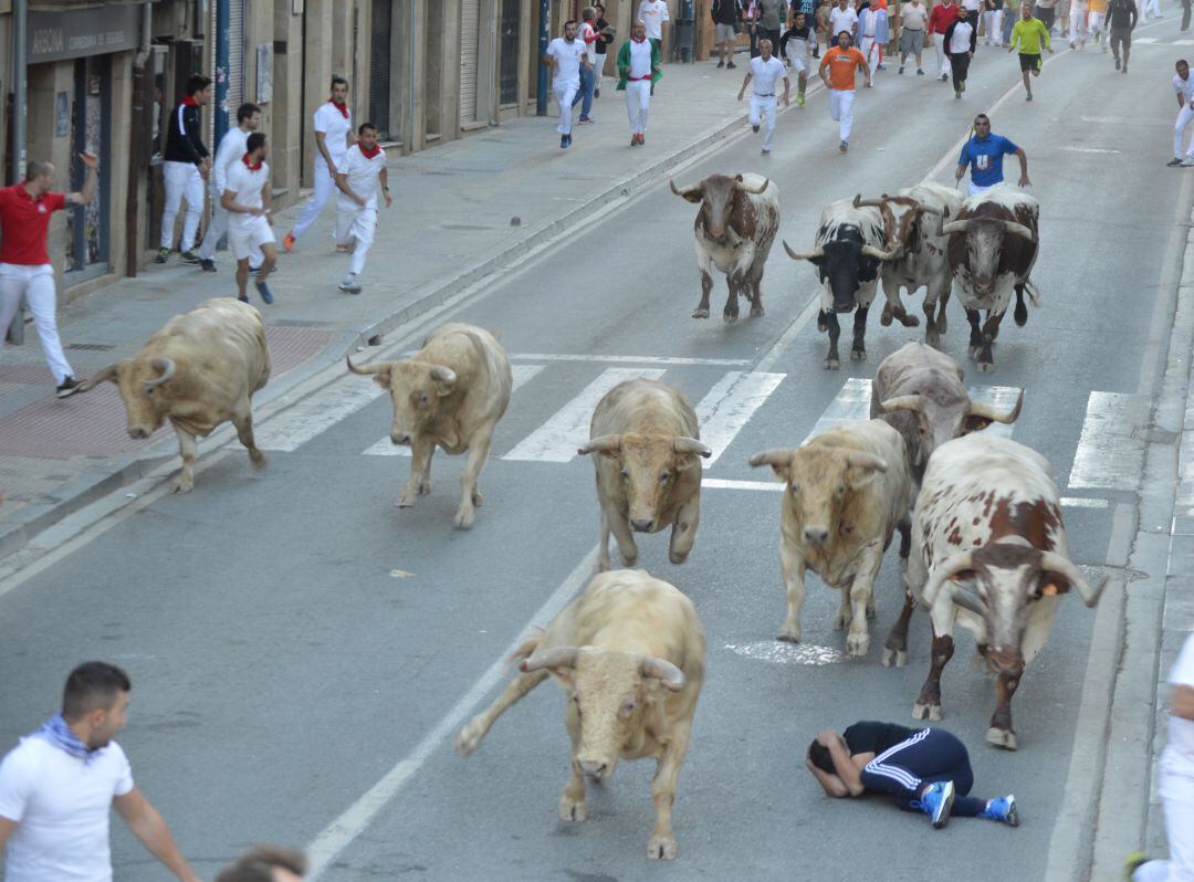 Segundo encierro de las fiestas de Tafalla 2019 con los toros de Prieto de l Cal