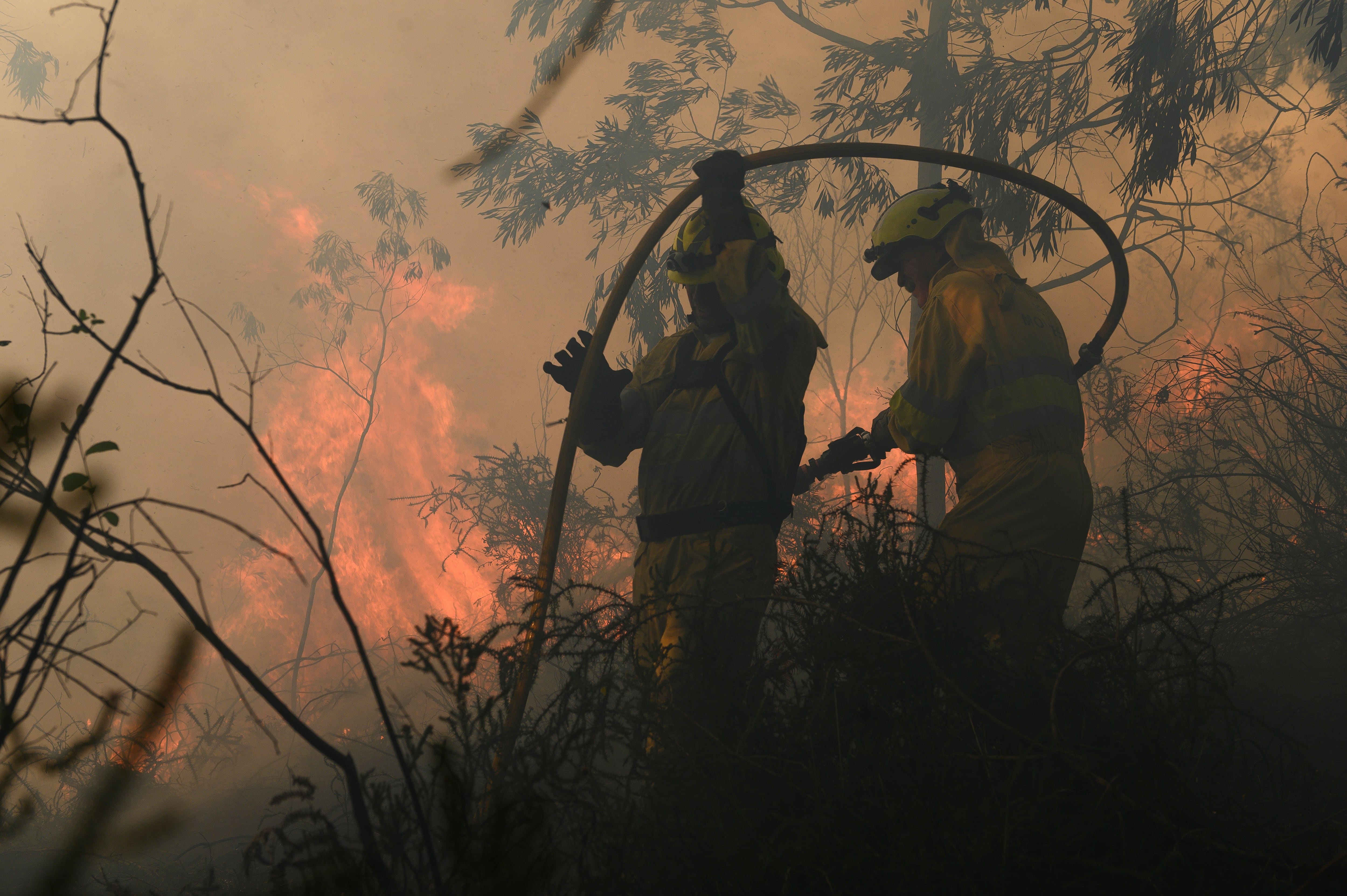 Agentes del Medio Natural y Bomberos Forestales del Gobierno de Cantabria durante los trabajos de extinción de un incendio forestal originado en el mes de octubre en la localidad de Treceño, en Valdáliga.