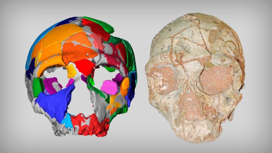 Un polémico estudio sugiere que los &#039;sapiens&#039; llegaron a Europa mucho antes de lo que se creía