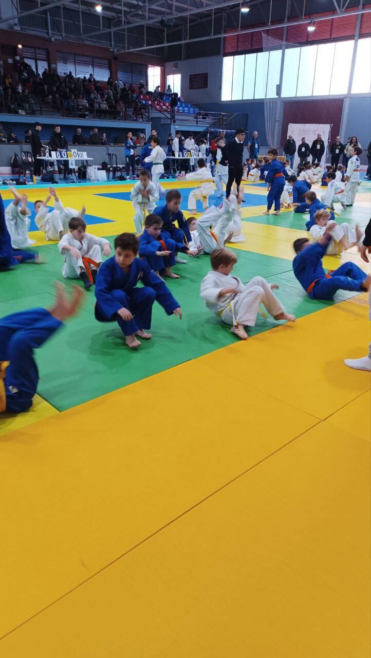 JudoCAMV