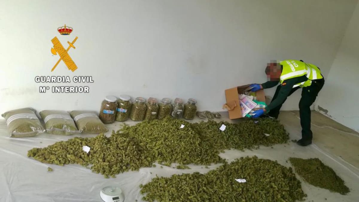 Detenido un varón de 61 años en Hervás al incautarle 16 kilos de marihuana