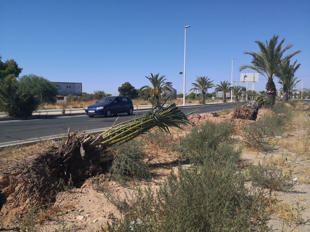 Margalló-Ecologistes en Acció