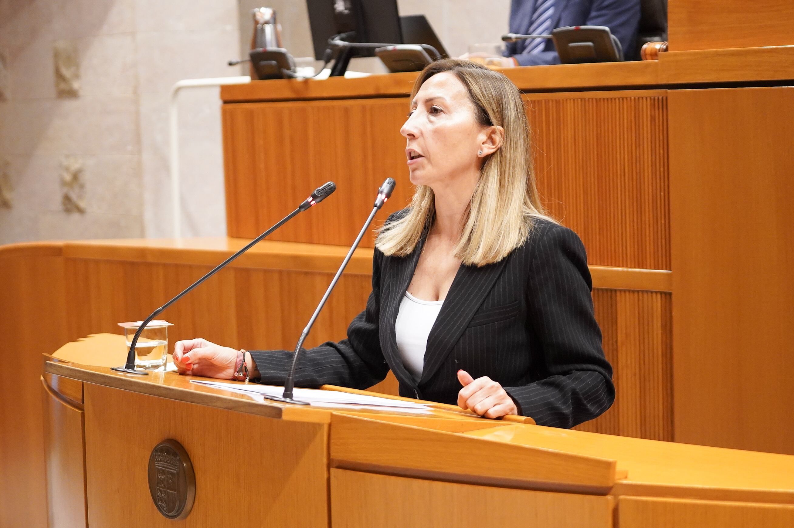 La portavoz del PP de Medio Ambiente, Susana Cobos