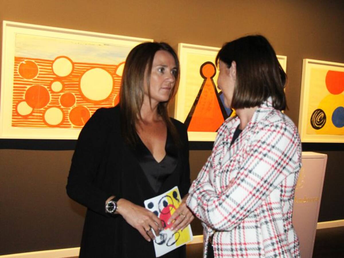 Manca de guies als museus