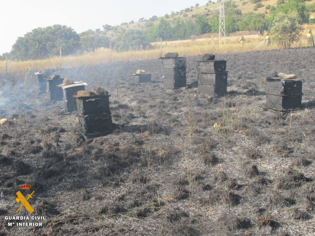 Colmenas calcinadas en el incendio de La Losa 