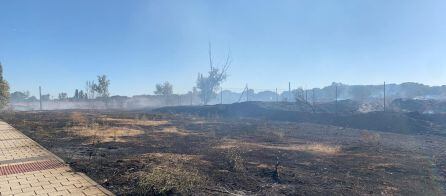 Foto de la parcela tras el fuego