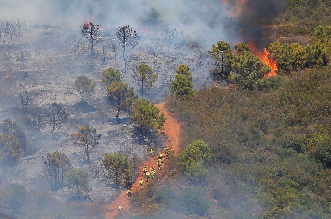 Incendio forestal en España