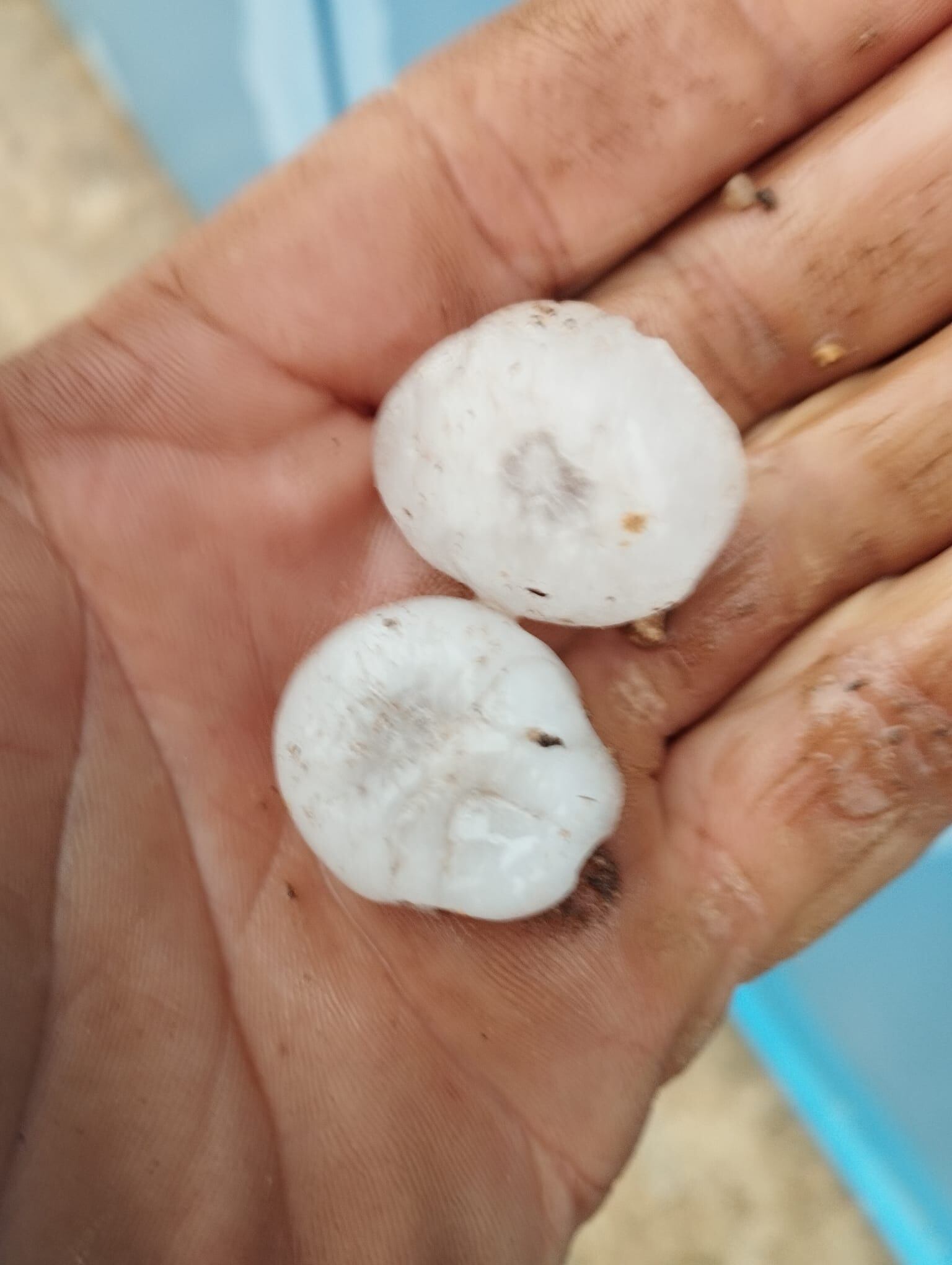 Daños en La Mancha por el granizo del martes por la tarde